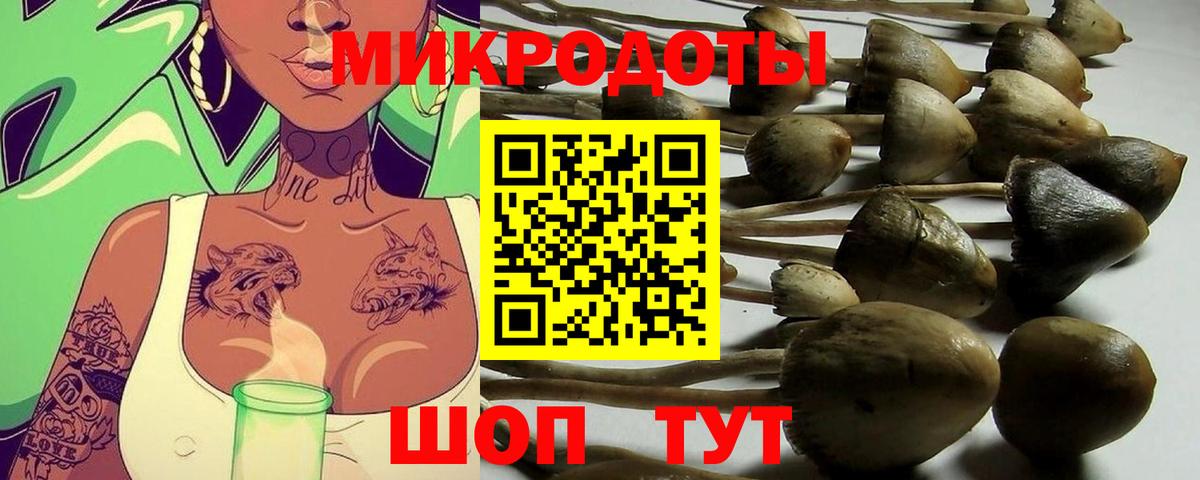 купить   Псилоцибиновые грибы Psilocybe  Добрянка  Вход с VPN  Галлюциногенные грибы Magic Shrooms 